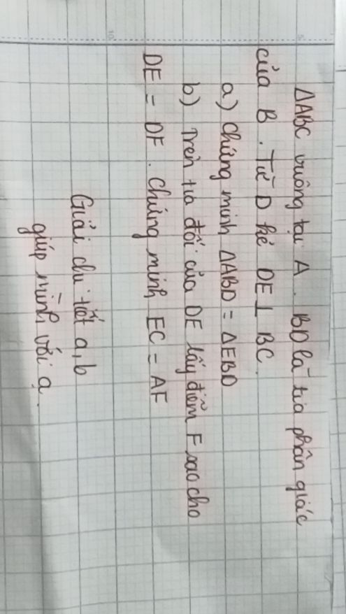 img-question-file