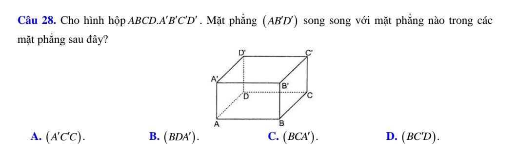 img-question-file