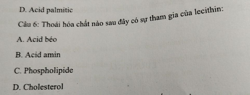 img-question-file