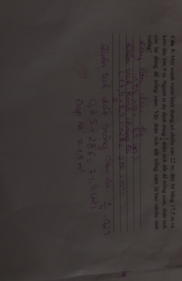img-question-file