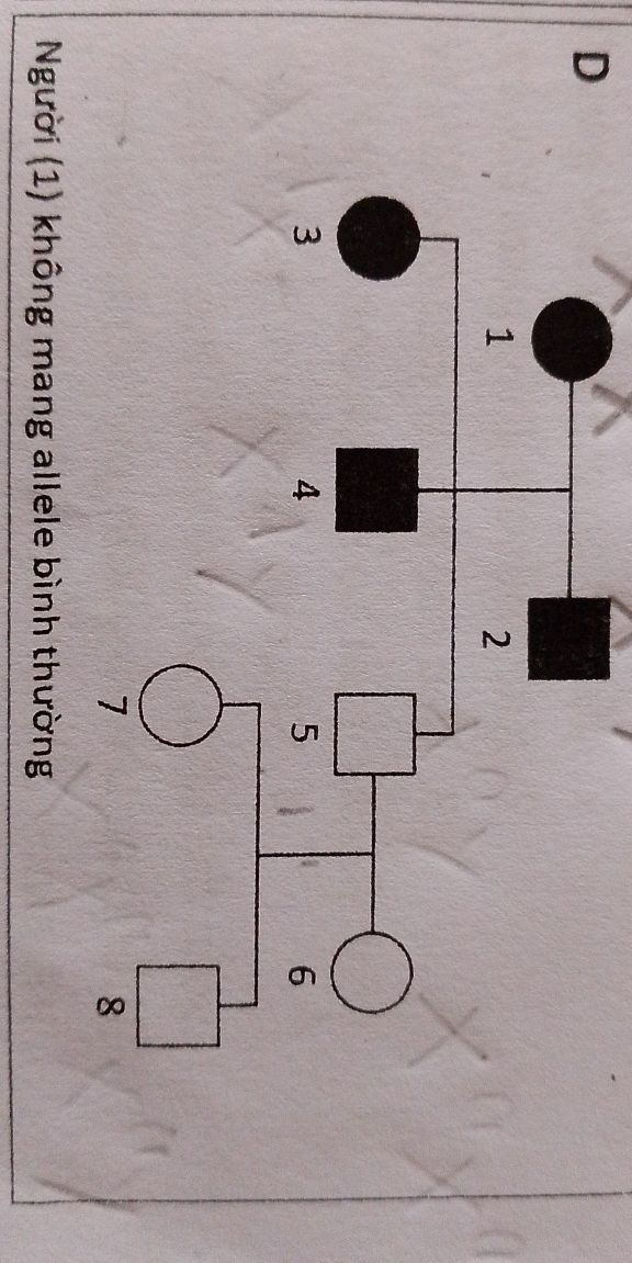 img-question-file