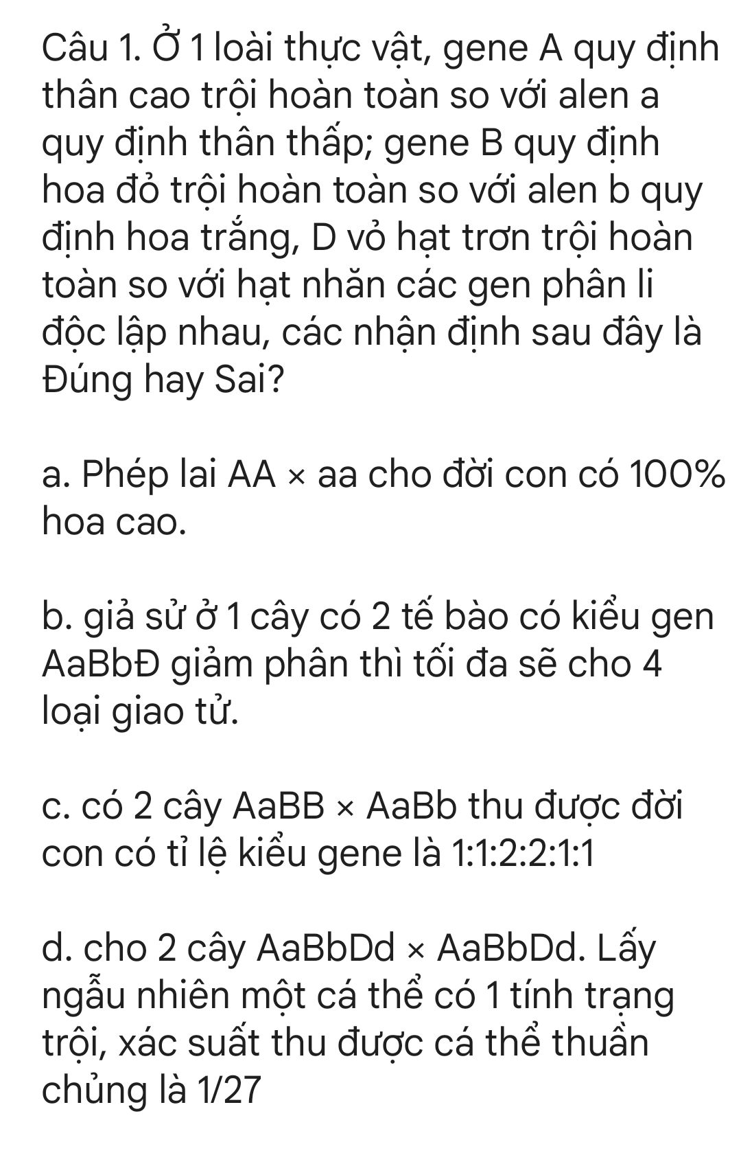img-question-file
