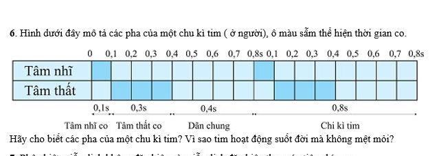 img-question-file