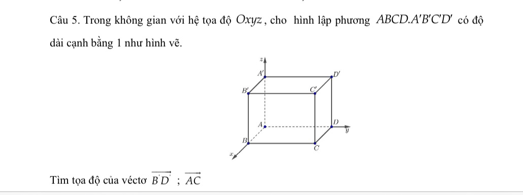 img-question-file