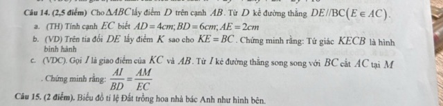 img-question-file