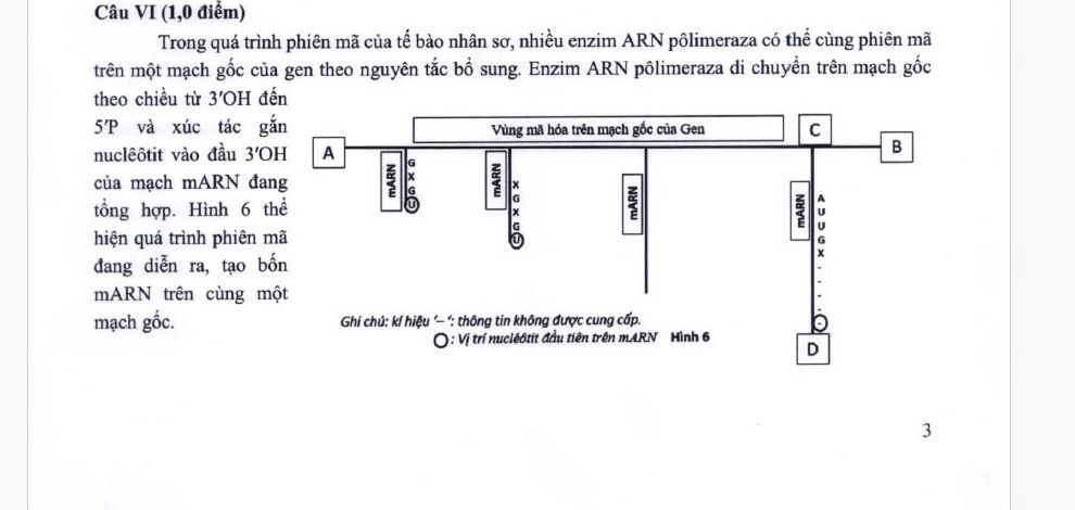 img-question-file