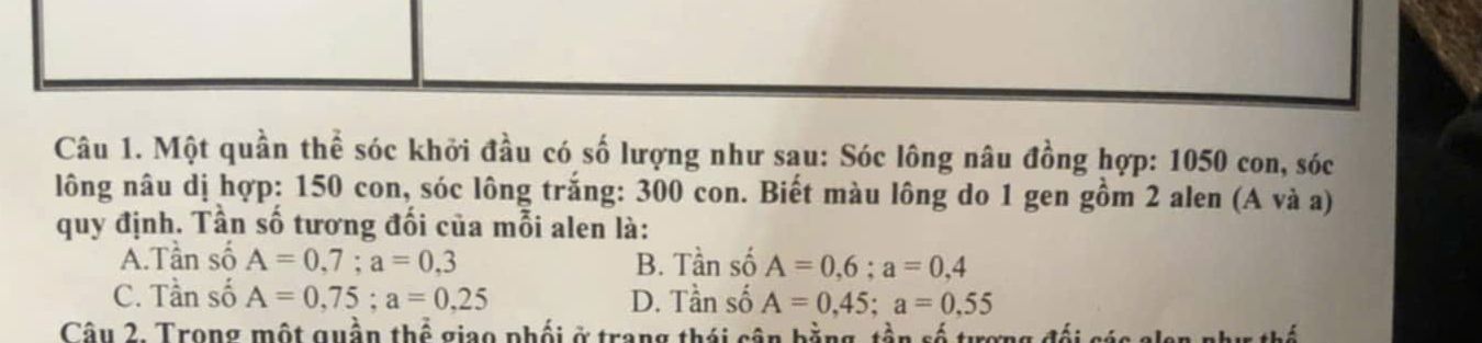 img-question-file
