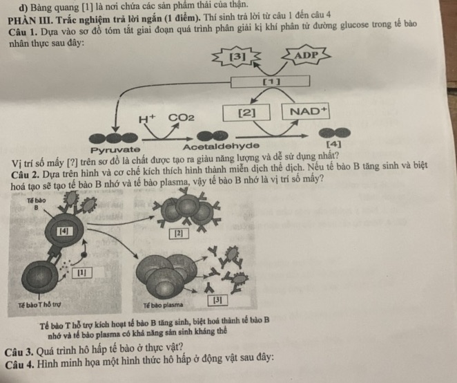 img-question-file