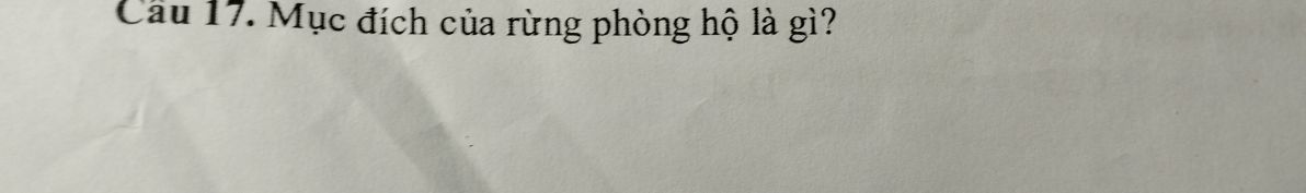 img-question-file