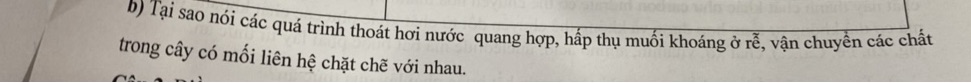 img-question-file
