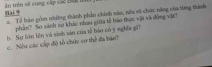 img-question-file