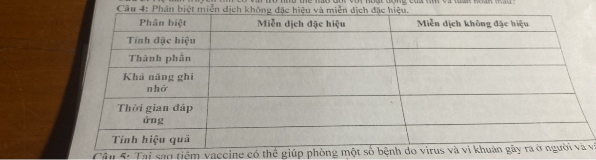 img-question-file