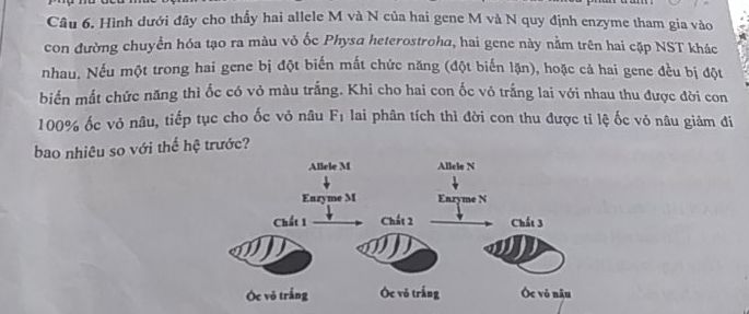 img-question-file