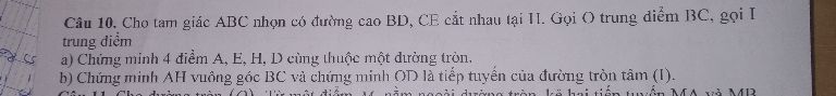img-question-file
