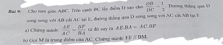 img-question-file
