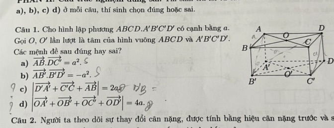 img-question-file