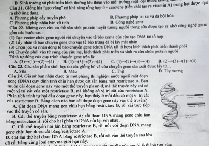 img-question-file