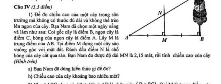 img-question-file