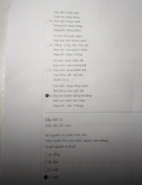 img-question-file