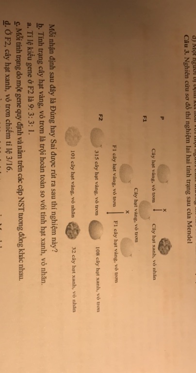 img-question-file