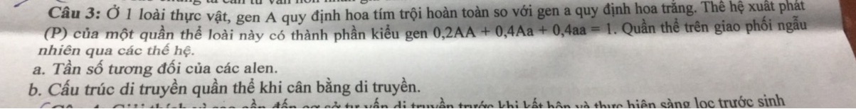 img-question-file
