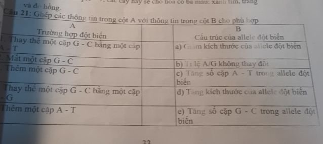 img-question-file