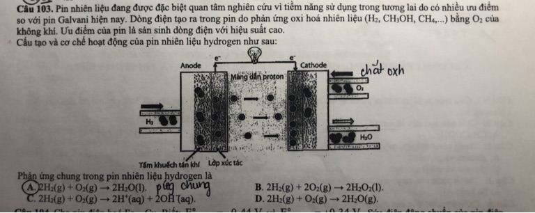 img-question-file