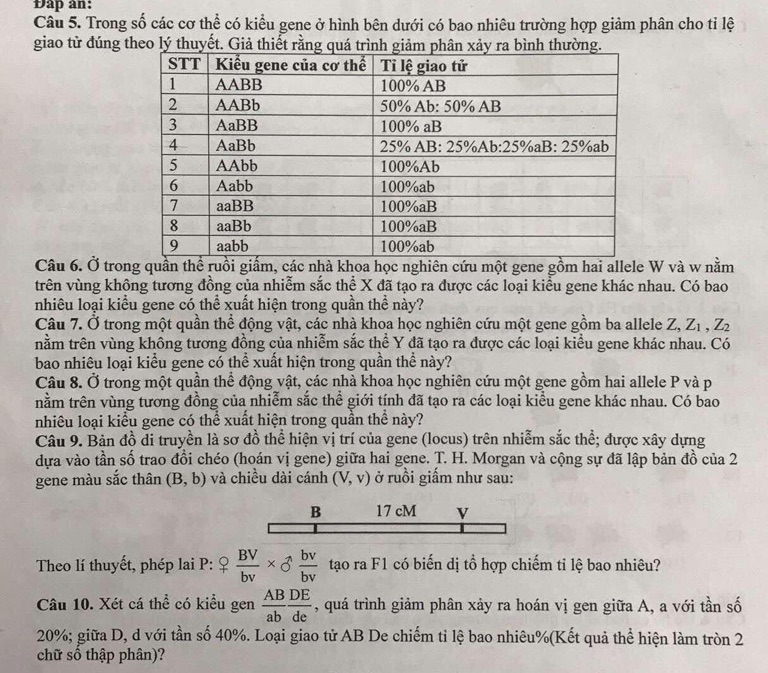 img-question-file