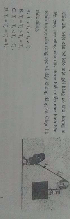 img-question-file