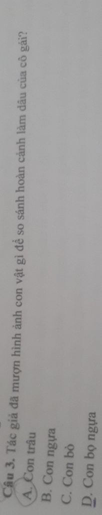 img-question-file