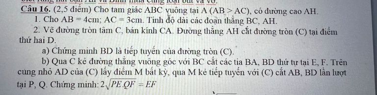img-question-file