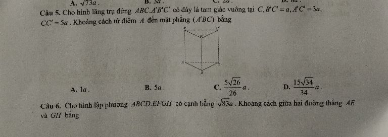 img-question-file
