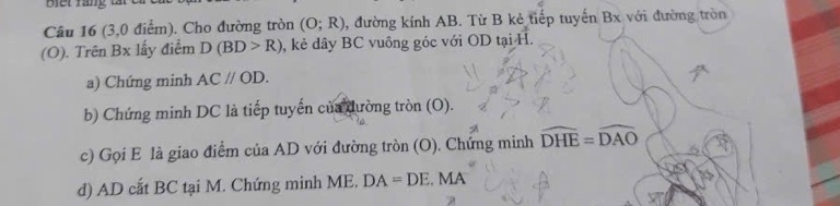 img-question-file