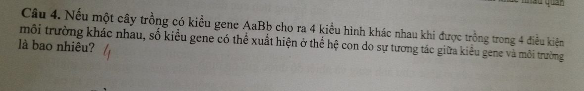 img-question-file