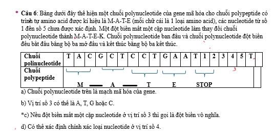 img-question-file