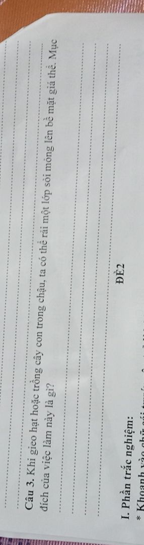 img-question-file