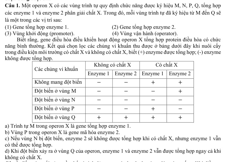 img-question-file