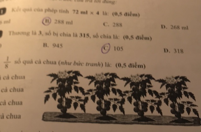 img-question-file