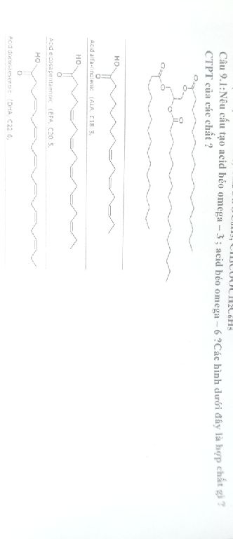 img-question-file