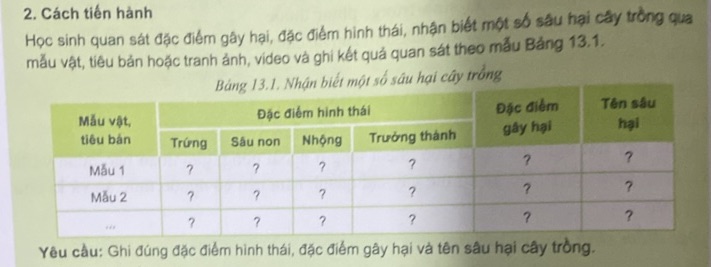 img-question-file