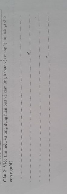 img-question-file
