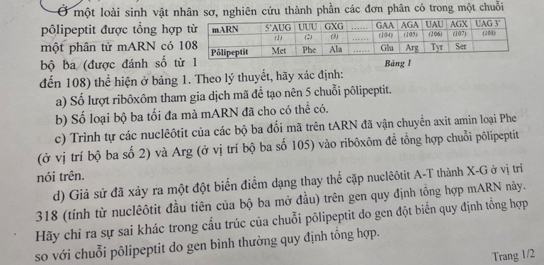 img-question-file