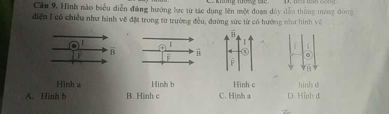 img-question-file