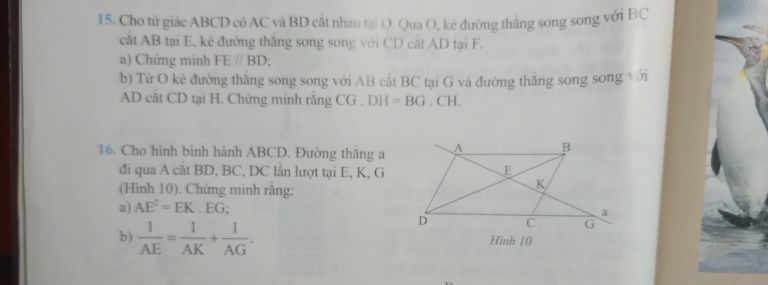 img-question-file