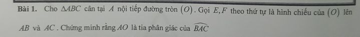 img-question-file