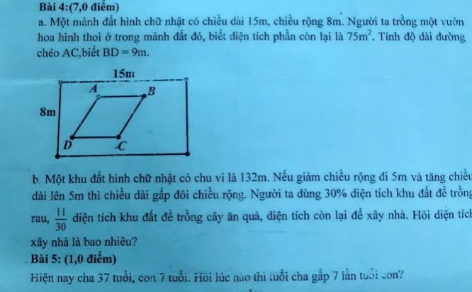 img-question-file