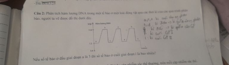 img-question-file