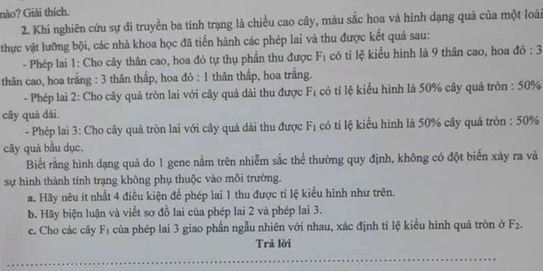 img-question-file