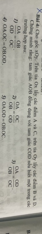 img-question-file