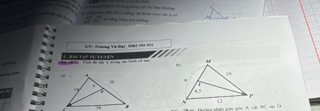 img-question-file